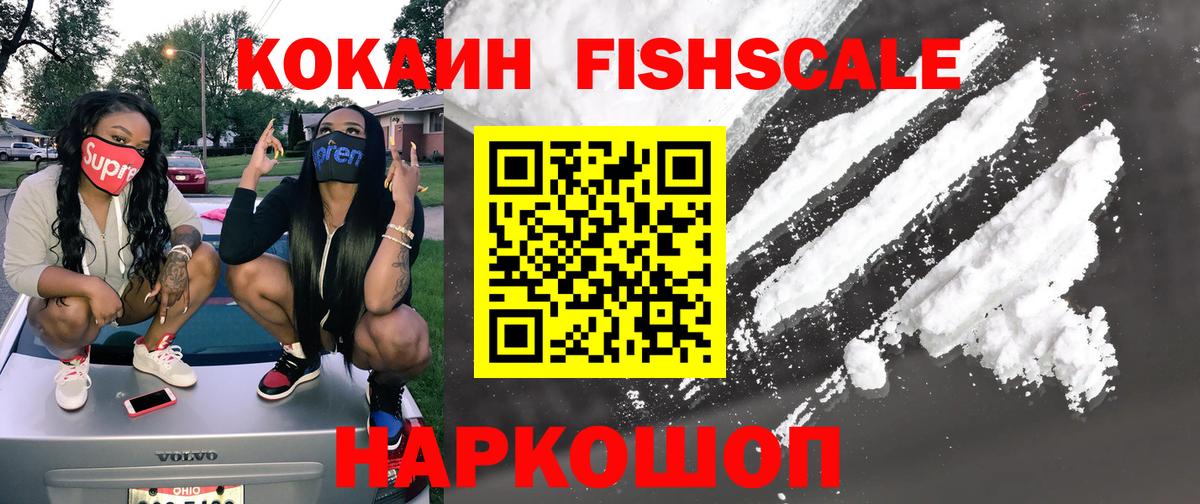 Cocaine FishScale  Cocaine FishScale  Сунжа  Вход с VPN 