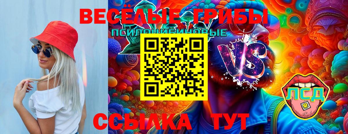 Галлюциногенные грибы ЛСД  Вход с VPN  Сунжа 